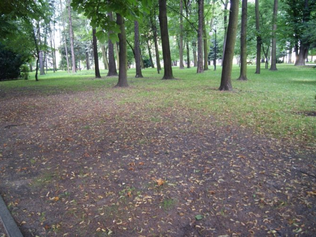 CHRZANÓW. Park miejski latem - mogłoby być lepiej