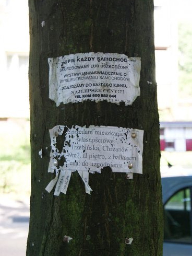 CHRZANÓW. Latarnie i drzewa jak tablice ogłoszeniowe