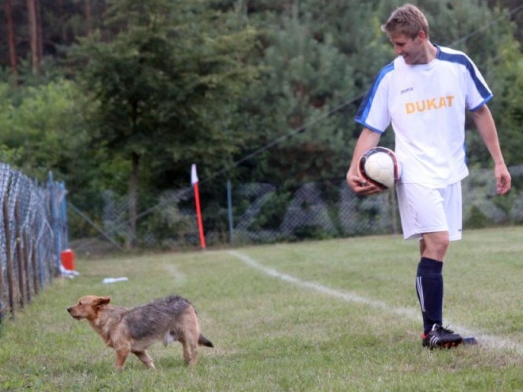 Sportowy tydzień w obiektywie 12.08-16.08.2013 r