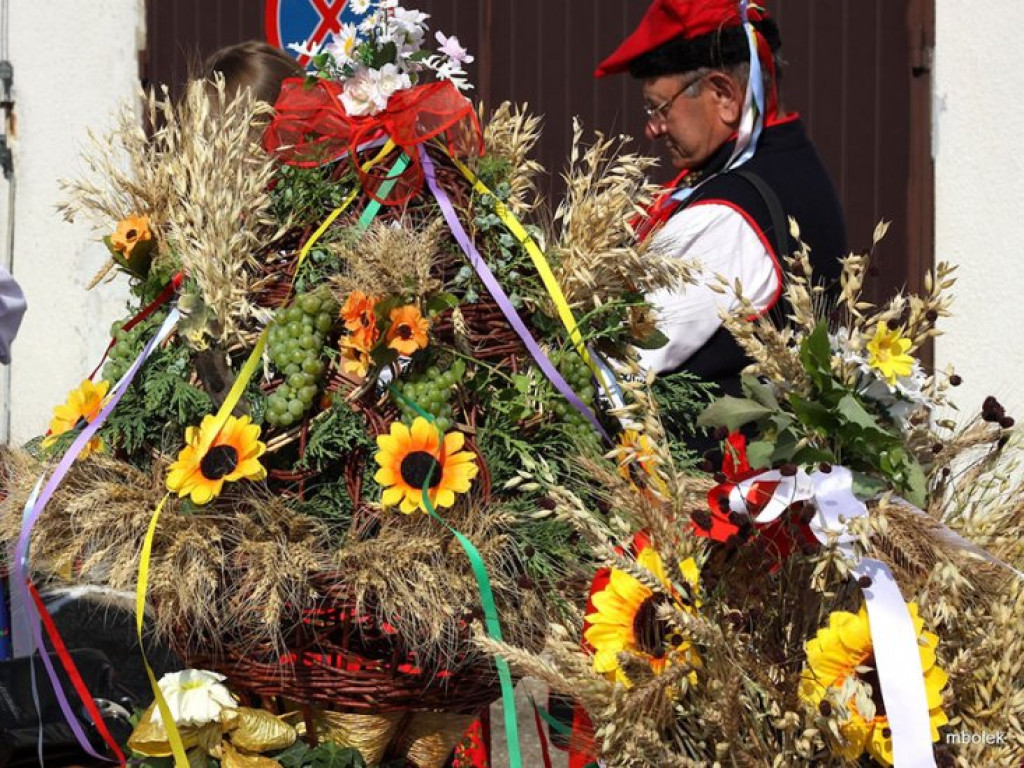 MĘTKÓW. Dożynki w obiektywie