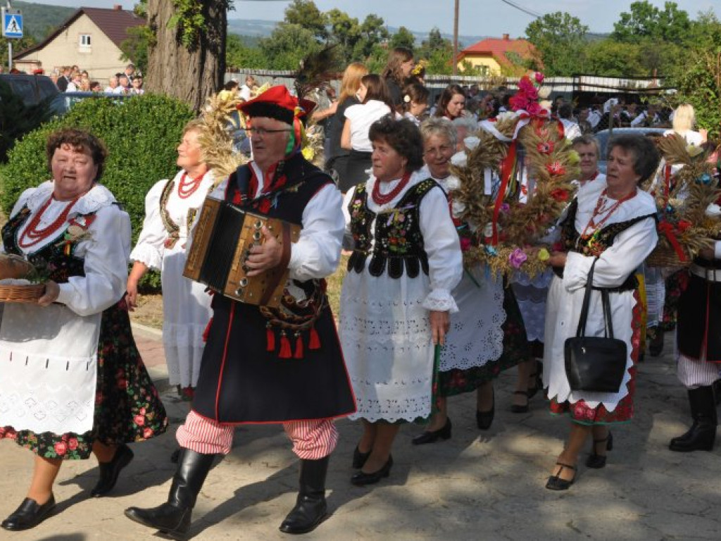 ZALAS. Papugi na gminnych dożynkach