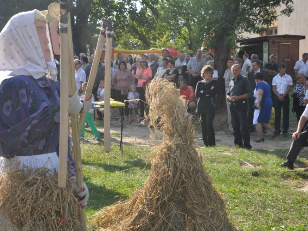 ZALAS. Papugi na gminnych dożynkach