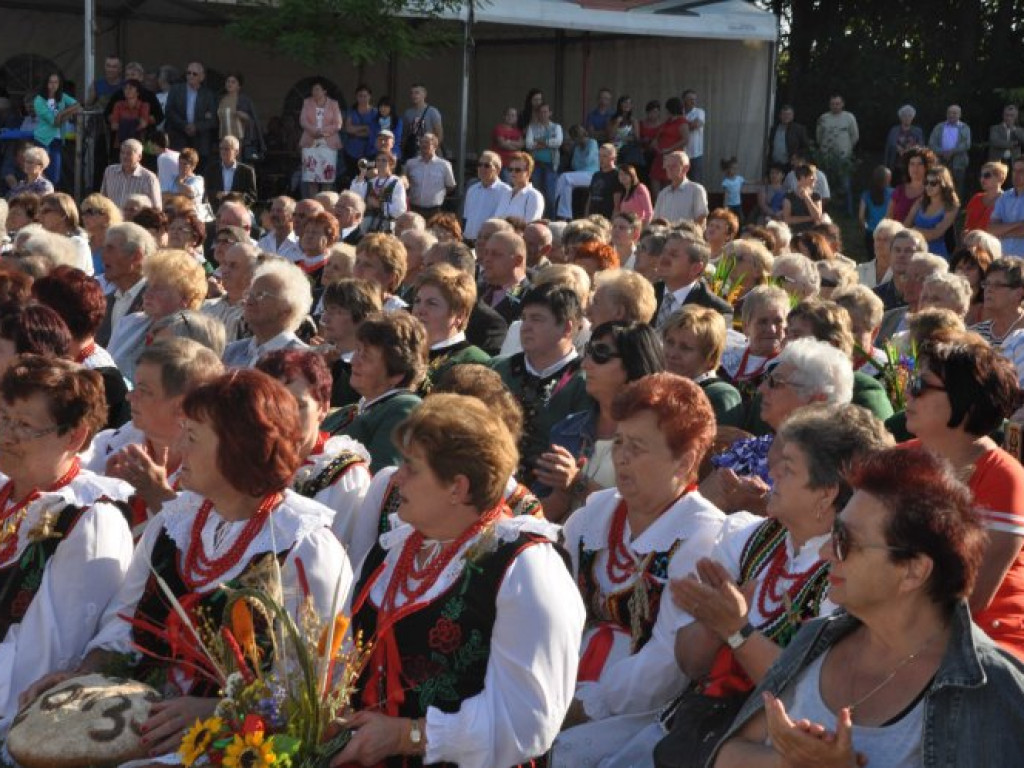ZALAS. Papugi na gminnych dożynkach