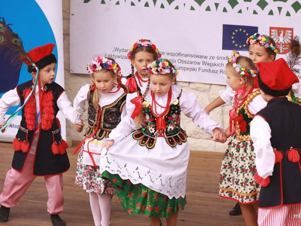 WYGIEŁZÓW. Ziemniaczysko w obiektywie