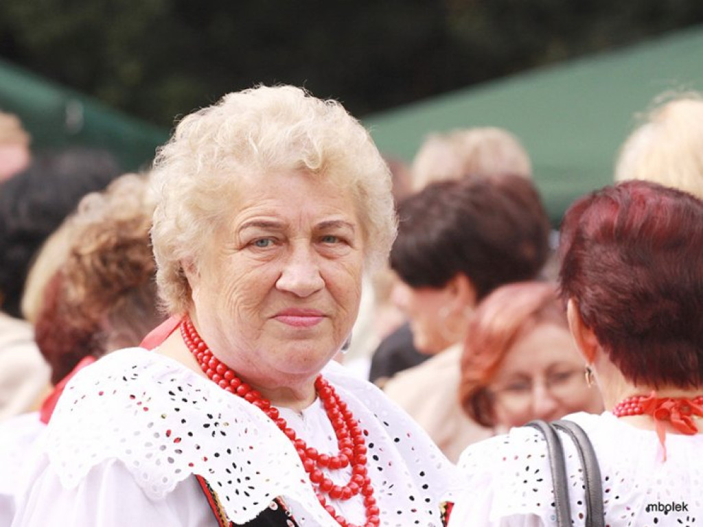 WYGIEŁZÓW. Ziemniaczysko w obiektywie