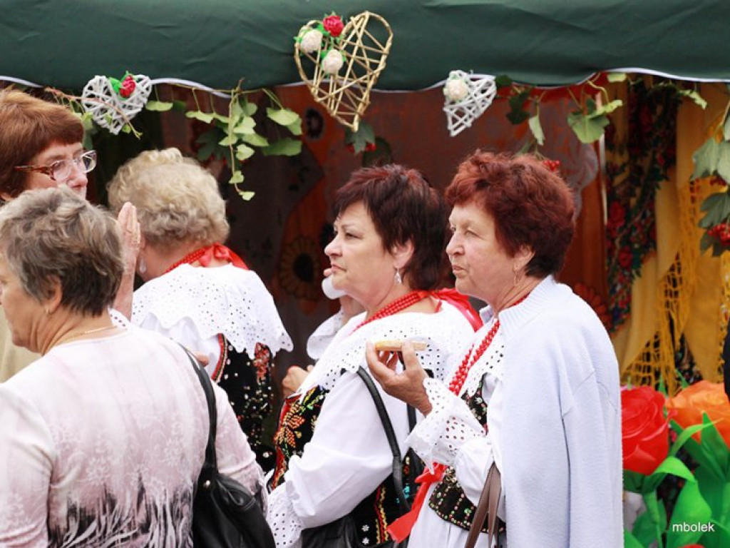 WYGIEŁZÓW. Ziemniaczysko w obiektywie