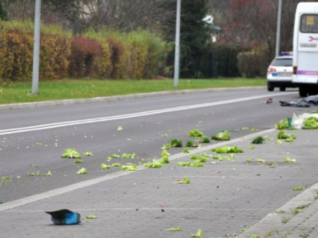 CHRZANÓW. Rowerzysta zginął na oczach dzieci (ZDJĘCIA)