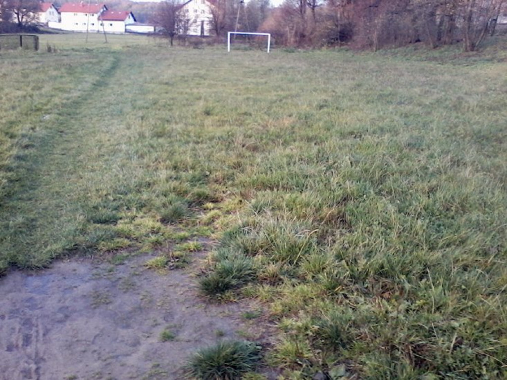 WYGIEŁZÓW. Boisko sportowe - boisko czy pastwisko?