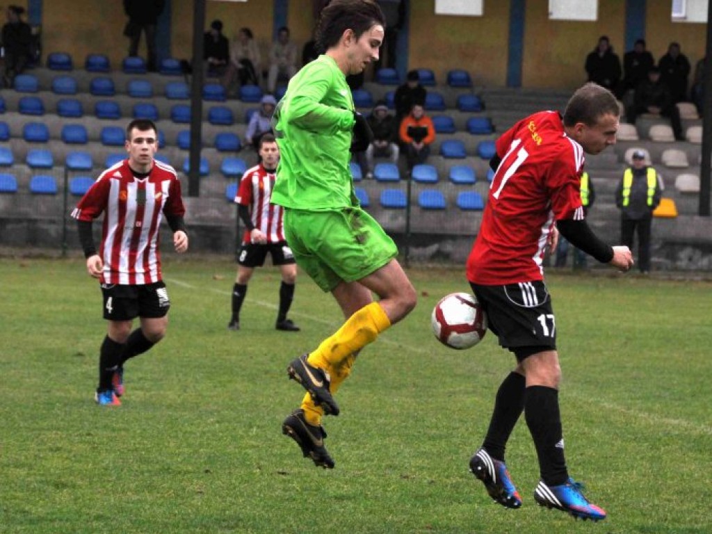 Sportowy weekend w obiektywie 23-24.11. 2013 r.