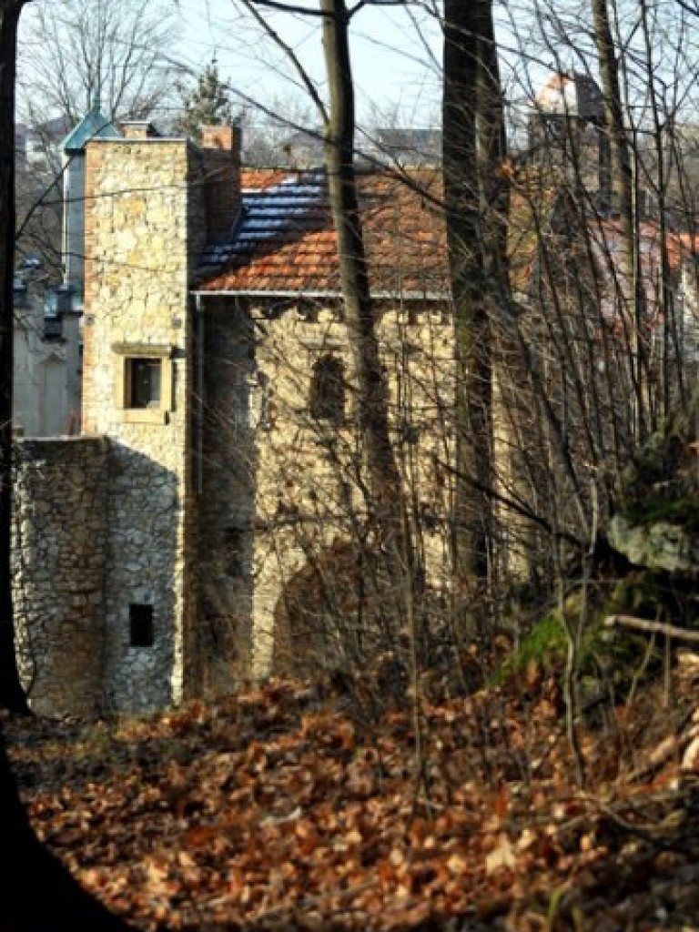 Pałac w Młoszowej widziany inaczej - grudzień 2013 r.