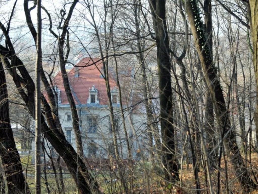Pałac w Młoszowej widziany inaczej - grudzień 2013 r.
