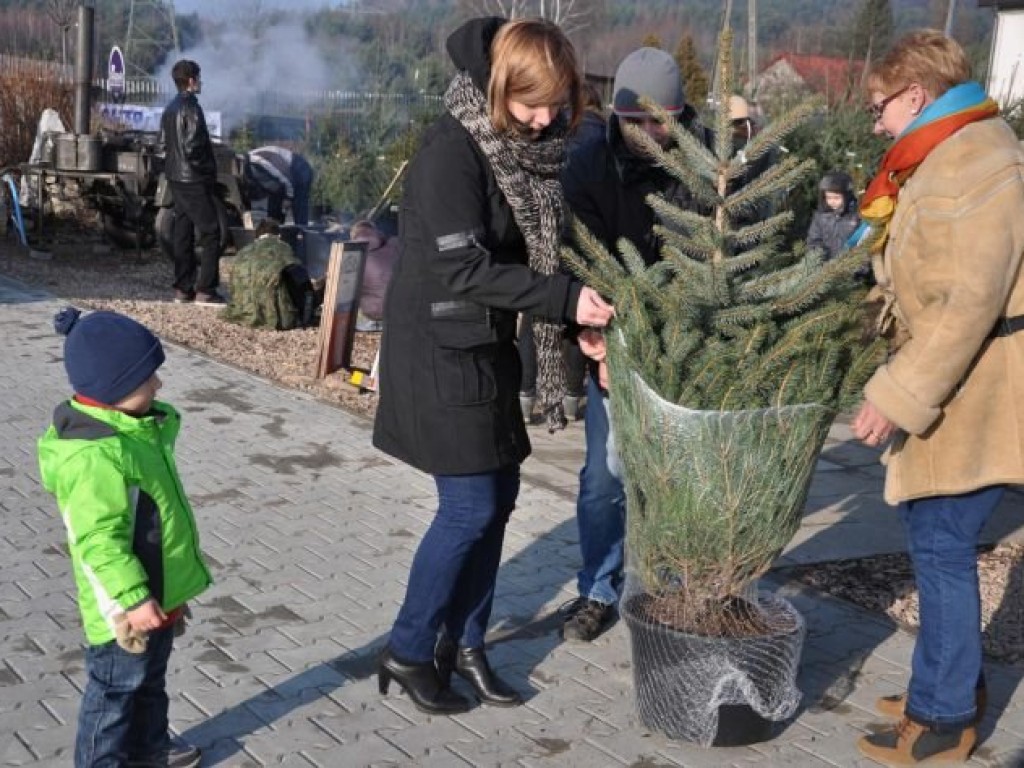 IV Świąteczne Zamieszanie - 14.12.2013 r.