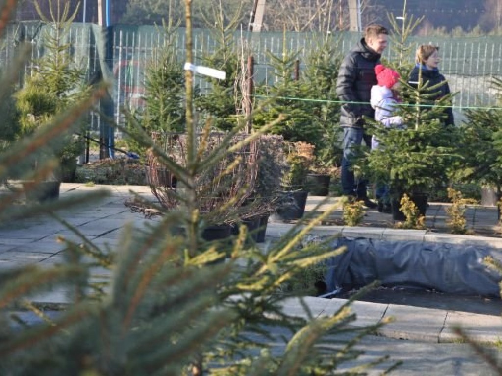 IV Świąteczne Zamieszanie - 14.12.2013 r.