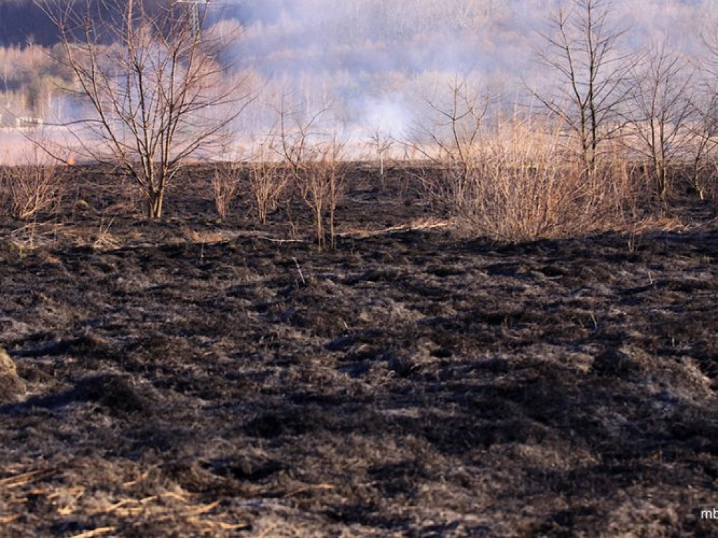 ZAGÓRZE. Groźny pożar wskutek wypalania traw