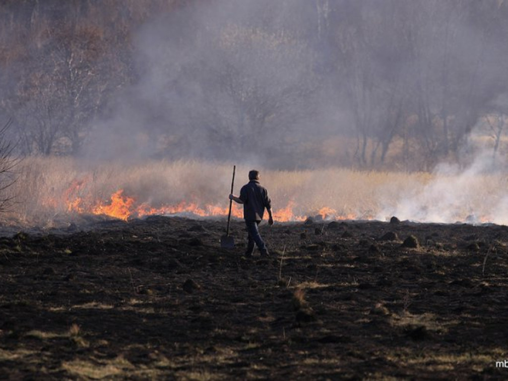 ZAGÓRZE. Groźny pożar wskutek wypalania traw
