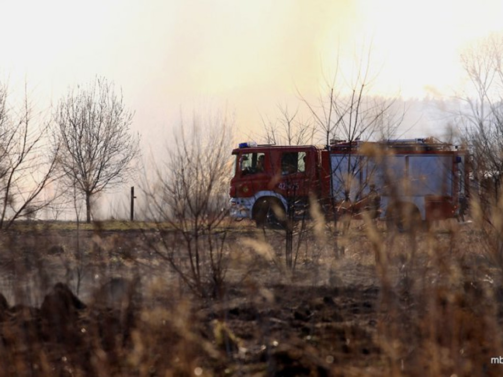 ZAGÓRZE. Groźny pożar wskutek wypalania traw