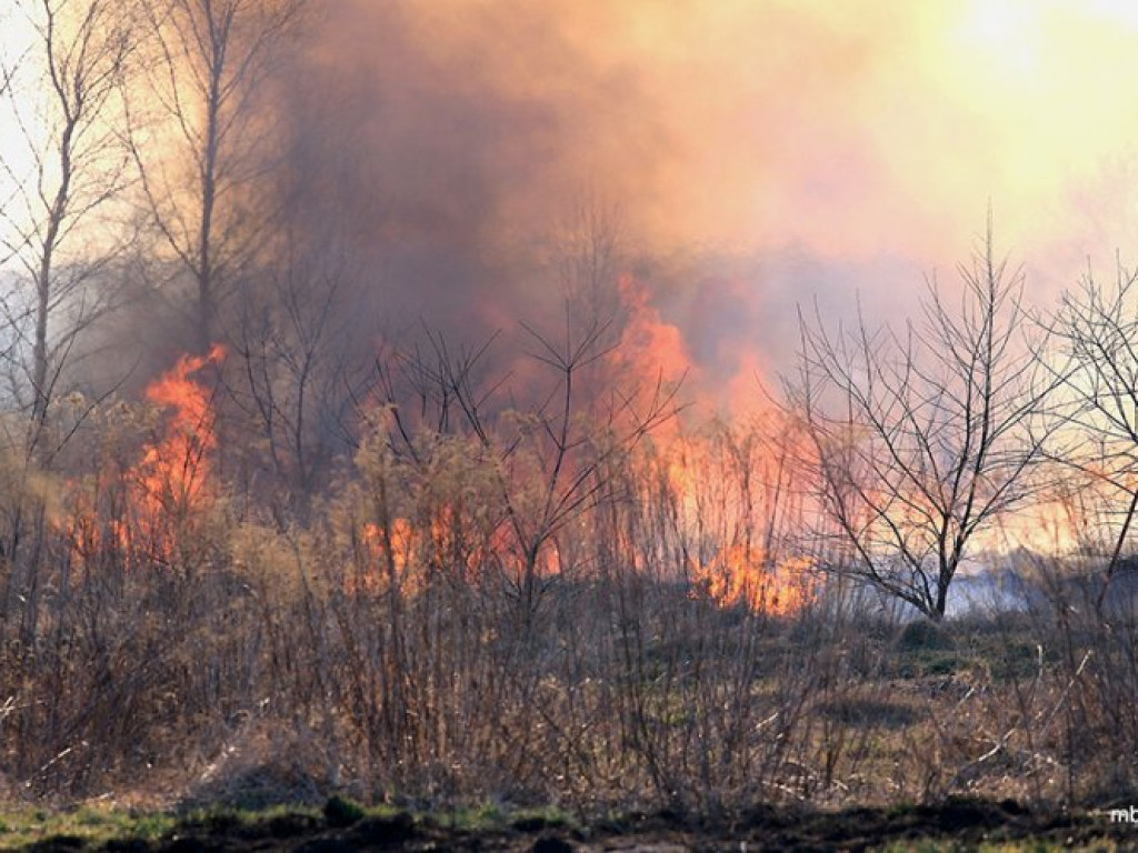 ZAGÓRZE. Groźny pożar wskutek wypalania traw