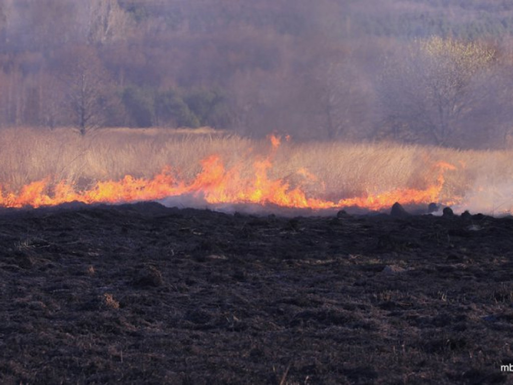 ZAGÓRZE. Groźny pożar wskutek wypalania traw