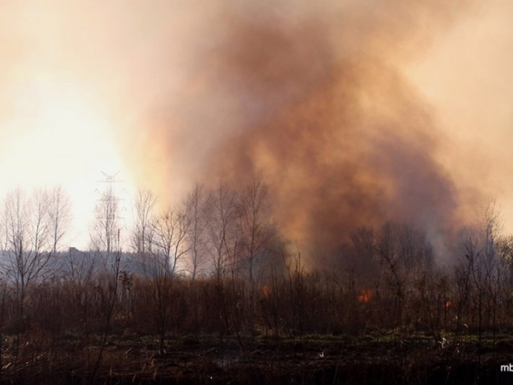 ZAGÓRZE. Groźny pożar wskutek wypalania traw