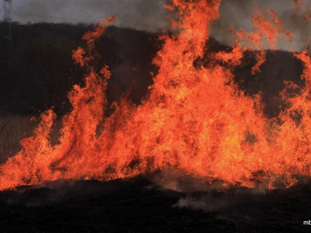ZAGÓRZE. Groźny pożar wskutek wypalania traw