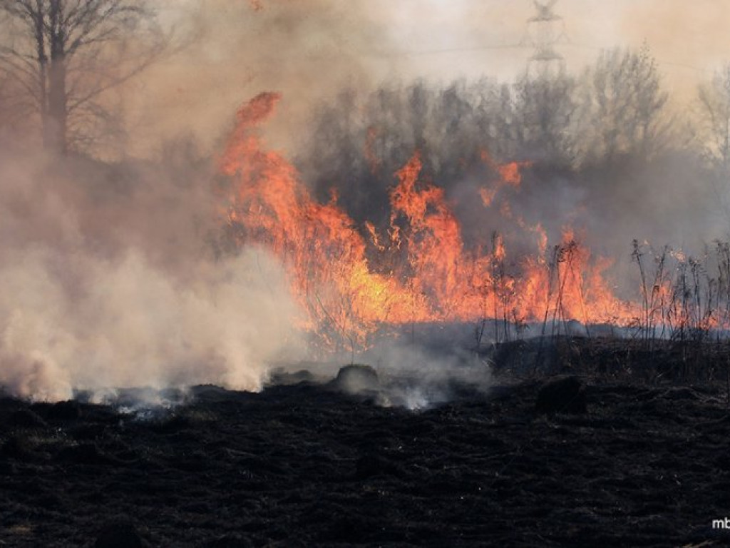 ZAGÓRZE. Groźny pożar wskutek wypalania traw