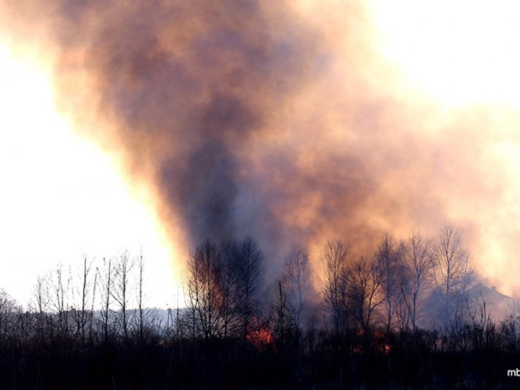 ZAGÓRZE. Groźny pożar wskutek wypalania traw