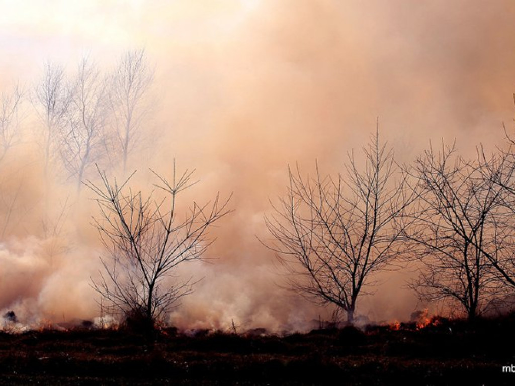 ZAGÓRZE. Groźny pożar wskutek wypalania traw