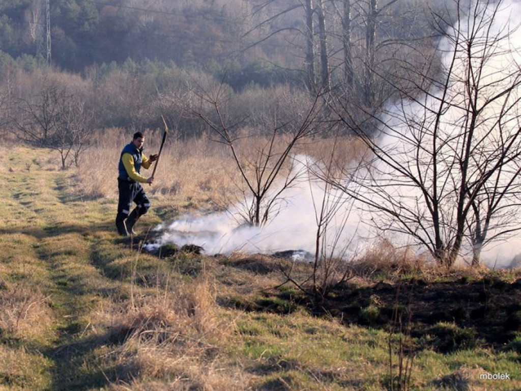 ZAGÓRZE. Groźny pożar wskutek wypalania traw