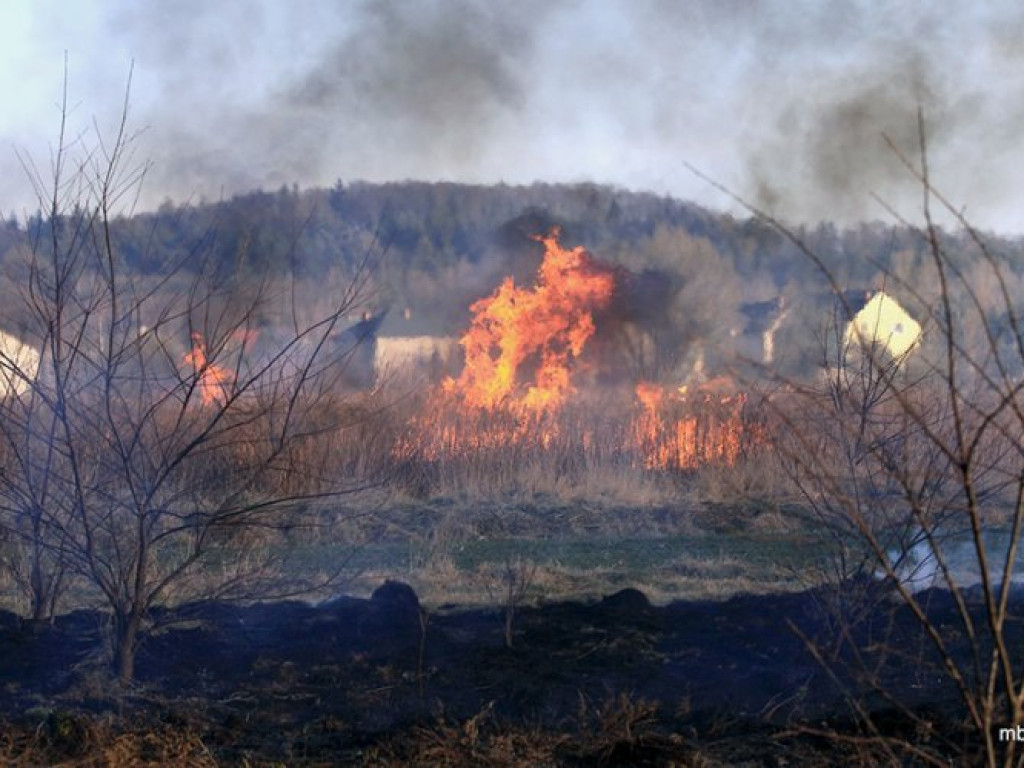 ZAGÓRZE. Groźny pożar wskutek wypalania traw