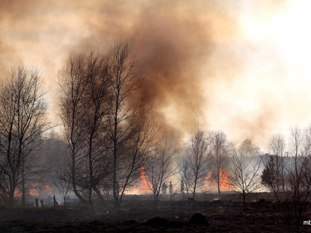 ZAGÓRZE. Groźny pożar wskutek wypalania traw