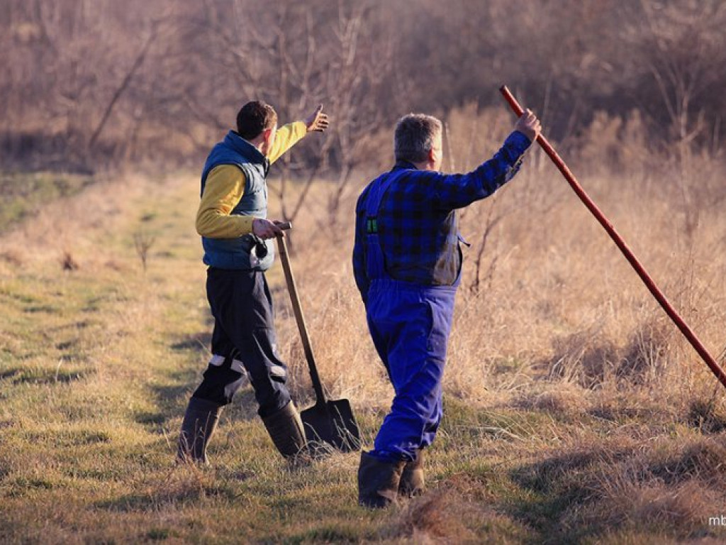 ZAGÓRZE. Groźny pożar wskutek wypalania traw