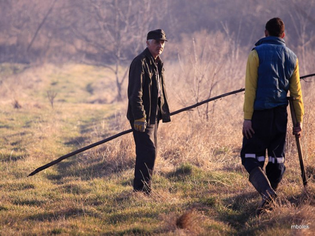 ZAGÓRZE. Groźny pożar wskutek wypalania traw