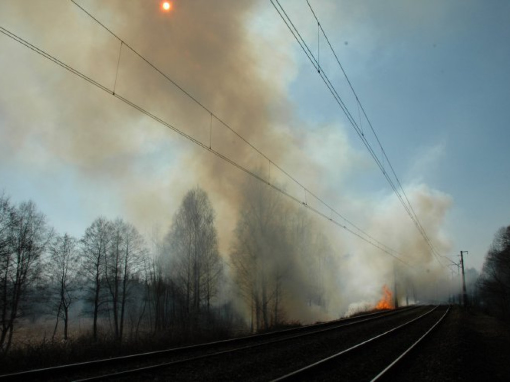 CHRZANÓW. Dym z płonących traw przy ulicy Wodzińskiej był widoczny z daleka (ZDJĘCIA)