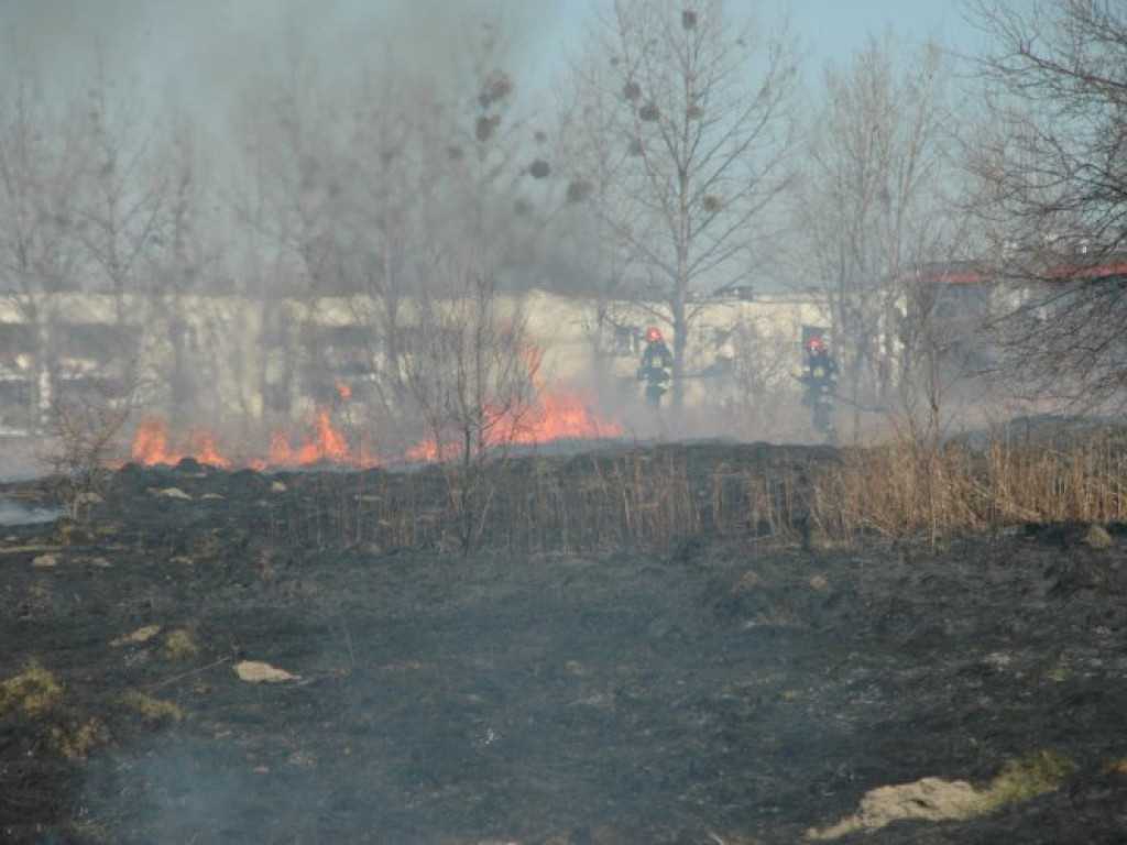 CHRZANÓW. Dym z płonących traw przy ulicy Wodzińskiej był widoczny z daleka (ZDJĘCIA)