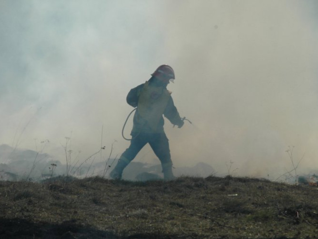 CHRZANÓW. Dym z płonących traw przy ulicy Wodzińskiej był widoczny z daleka (ZDJĘCIA)