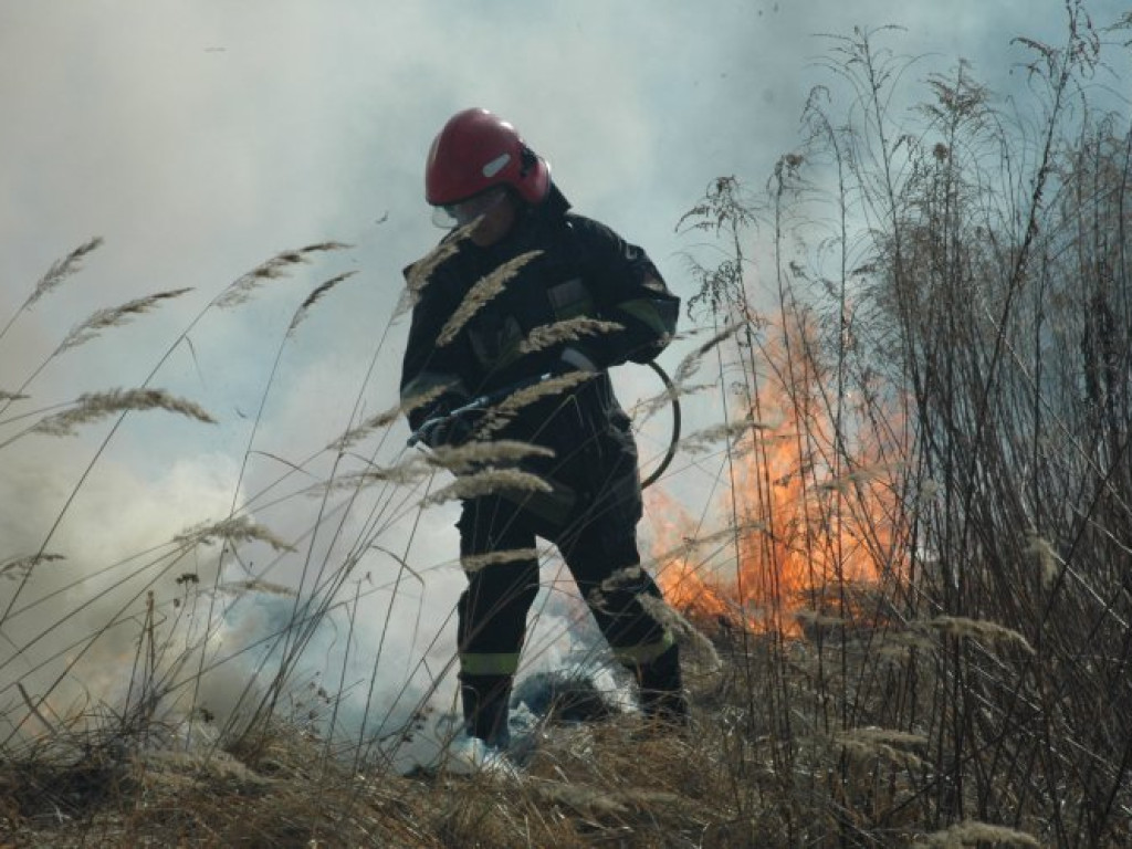 CHRZANÓW. Dym z płonących traw przy ulicy Wodzińskiej był widoczny z daleka (ZDJĘCIA)