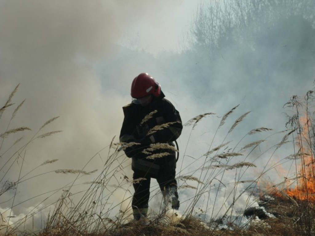 CHRZANÓW. Dym z płonących traw przy ulicy Wodzińskiej był widoczny z daleka (ZDJĘCIA)