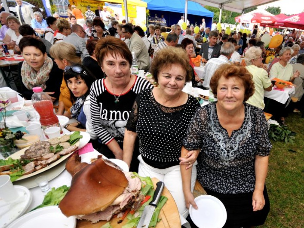 Powiatowy Piknik Seniora w Karniowicach – 23.08.2014 r.