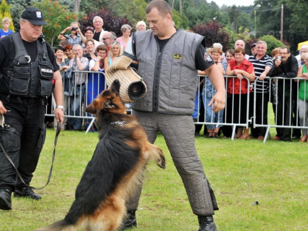 Powiatowy Piknik Seniora w Karniowicach – 23.08.2014 r.