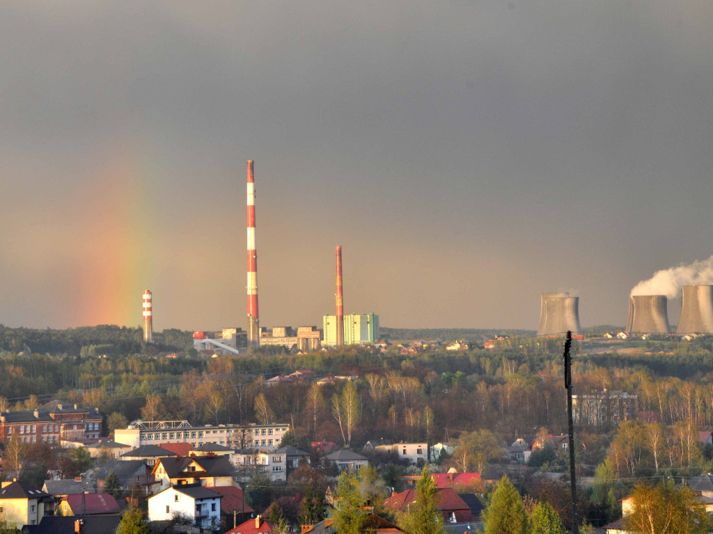Rok 2014 na zdjęciach