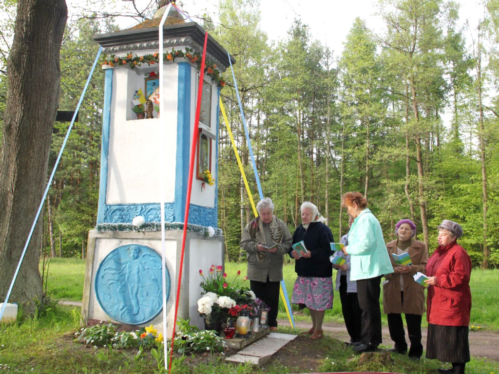 Rok 2014 na zdjęciach