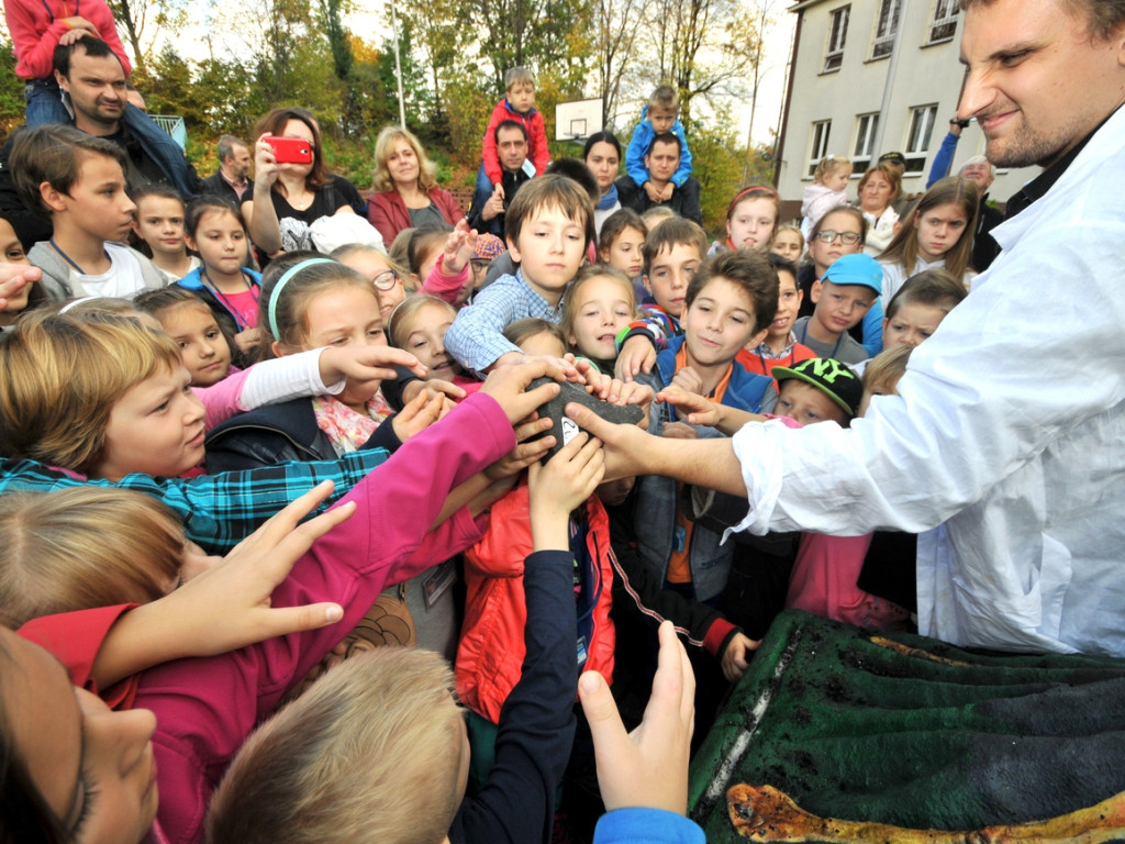 Rok 2014 na zdjęciach