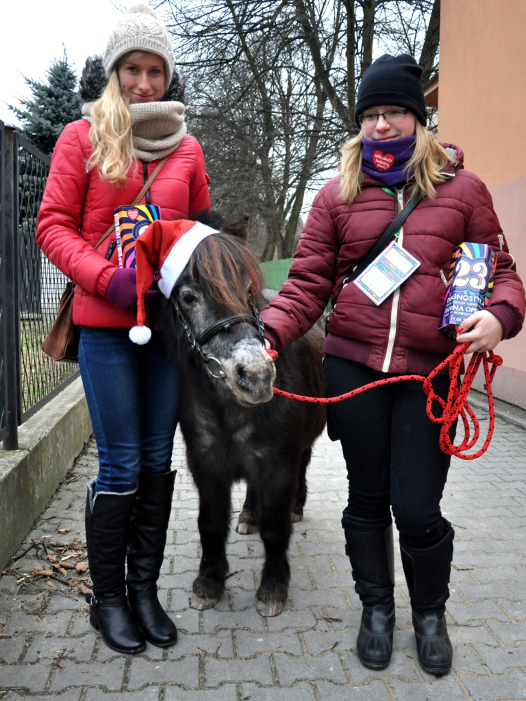 Wielka Orkiestra Świątecznej Pomocy - 11.01.2015