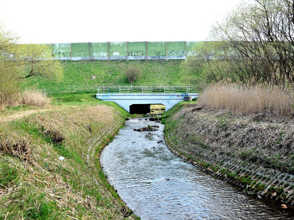 Spacer po Górze Berłowej w Chrzanowie – 22.04.2015 r.