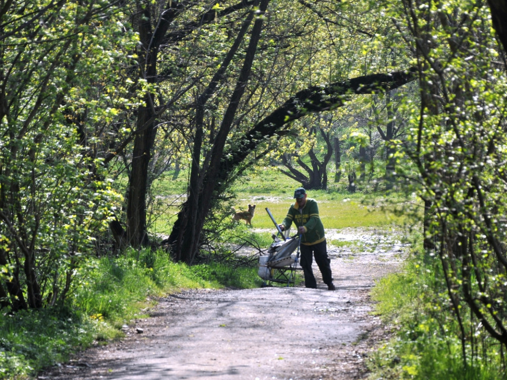 Dolina Chechła w Chrzanowie jak wielkie śmietnisko – 29.04.2015 r.