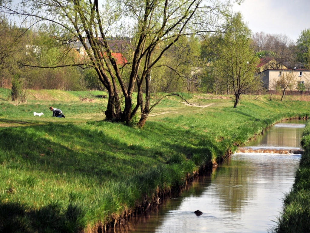 Dolina Chechła w Chrzanowie jak wielkie śmietnisko – 29.04.2015 r.