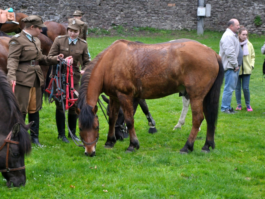 Kawaleria przy klasztorze w Alwerni 1.05.2015