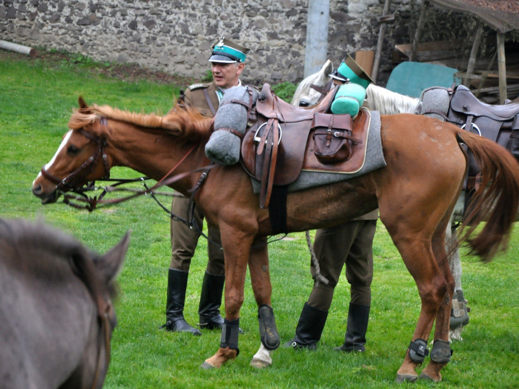 Kawaleria przy klasztorze w Alwerni 1.05.2015