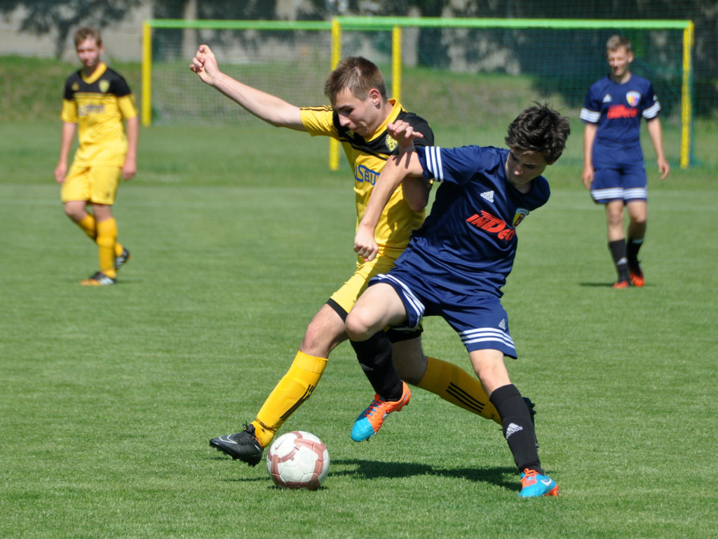 Sportowy tydzień w obiektywie - 01-05.06.2015 r.