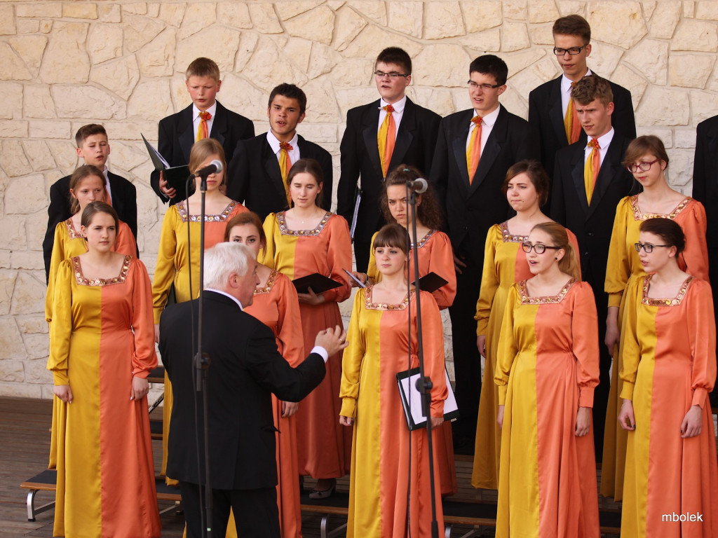 Występy w Wygiełzowie - 14.06.2015